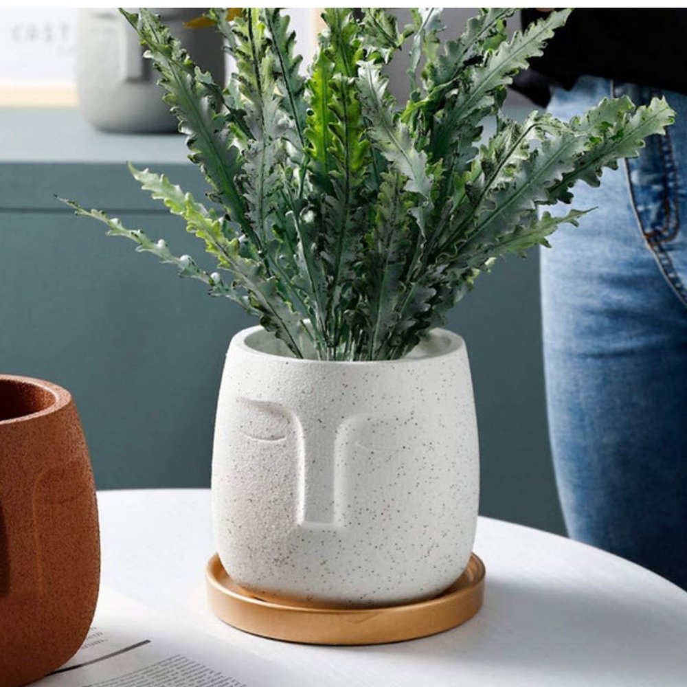Boho Abstract Face Succulent plant planter - Picture 9 of 9